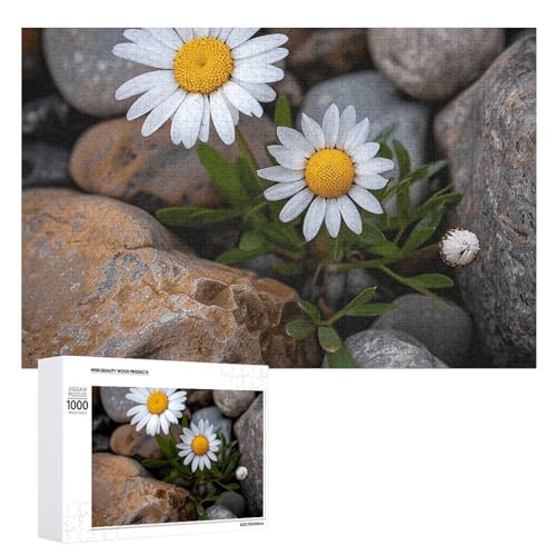 Gänseblümchen und Felsen, Puzzle, 1000, 500, 300 Teile, mit Aufbewahrungstasche, personalisierte Puzzles für Männer und Frauen, Bilderpuzzle für Familie, herausfordernde Fotos, Puzzle für von FHPCE