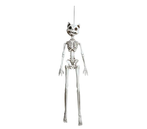 FIESTAS GUIRCA | Katzen Skelett Hängefigur (37 cm) - Halloween Dekoration für Partys und Feiern - Ideal für gruselige Umgebungen und Schreckensszenarien - Weiß von FIESTAS GUIRCA