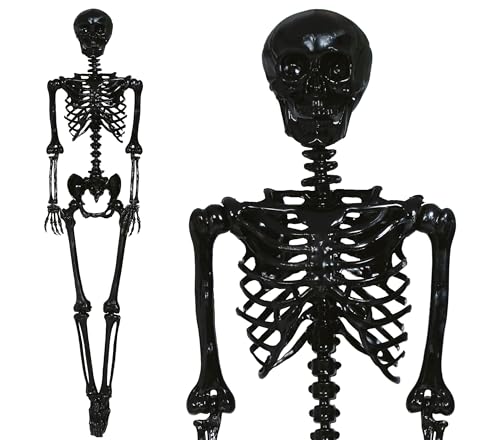 FIESTAS GUIRCA | Schwarzes Skelett (90 cm) - Halloween Dekoration für Partys und Feiern - Ideal für gruselige Umgebungen und Themen mit Totenköpfen und Skeletten - Schwarz von FIESTAS GUIRCA