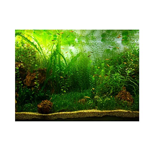 Aquarium Hintergrund Aquarium Dekorationen Bilder PVC Adhesive Poster Wasser Gras Stil Hintergrund Dekoration Papierklammer Aufkleber Aufkleber(91 * 50cm) von FILFEEL