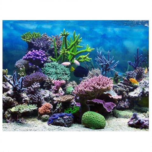 FILFEEL Aquarium Hintergrund Aquarium Dekorationen Bilder PVC Adhesive Poster Unterwasser Korallen Hintergrund Dekoration Papierklammern Aufkleber Aufkleber(91 * 50cm) von FILFEEL