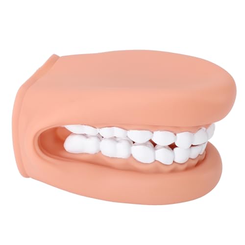 Mundpuppe mit 28 Zähnen, Handpuppe für Sprachtraining für, Zahnpuppe mit Zahnbürste, Mundpflegeset aus Silikon Kunststoff von FILFEEL