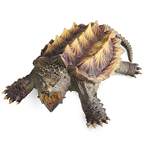 JOKFEICE Tierfiguren, realistisches Alligator-Schildkröten-Action-Modell, Wissenschaftsprojekt, Lernspielzeug, Geburtstagsgeschenk, Kuchenaufsatz für Kinder von FLORMOON