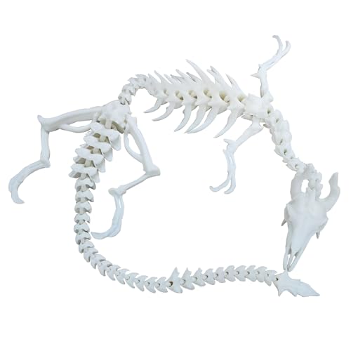 FLUEFOWL 3D Gedruckter Skelettdrache, 18 Zoll Drache innen Fidget-Spielzeug für Erwachsene, 3D-Gedruckter gelenkiger Drache, biegsame Flexible Kristalldrache-Spielzeuge für Autismus/ADHS (Weiß) von FLUEFOWL