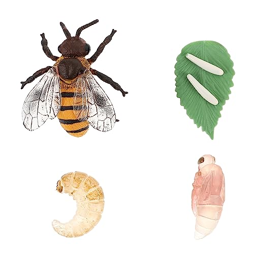 FOYTOKI 1 Satz Hirschkäfer Wachstumswoche Modell Miniaturtiere Kind Biene Tierfiguren Lebenszyklus Von Tierlebenszyklusfiguren Kidcraft-spielset Lebenszyklus-kit-Spielzeug Bienen Plastik von FOYTOKI