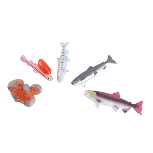 FOYTOKI 4 Teiliges Wachstumszyklusmodell Kinder Beobachten Fische Modell Feengarten Tiere Miniaturen Spielzeug Für Kinder Kinderspielzeug Lachsmodell Wissenschaftsspielzeug von FOYTOKI