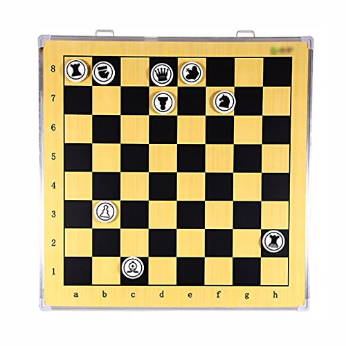 FQCXCKJ Magnetisches Schachspiel, Schach-Erklärungstafel, Klasse mit Aufhängung, Schachspiel mit Schach-Aufbewahrungsbox und Schachfiguren von FQCXCKJ