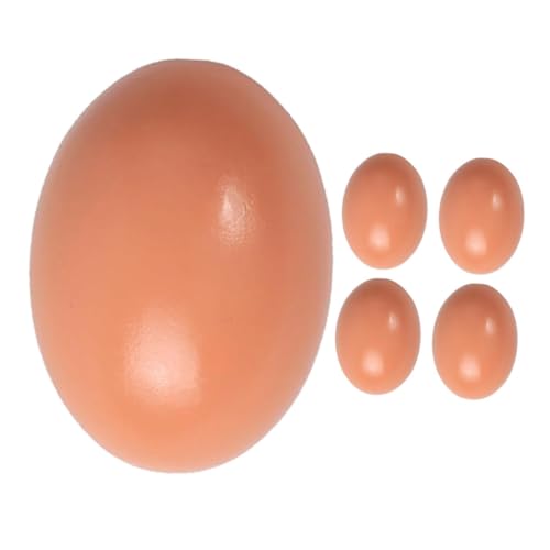 FRCOLOR 5 Stück Teiliges Realistische Holz Eier zum Basteln und Dekorieren Naturbelassene Künstliche Deko Eier für Garten Fenster Tisch Robust und Langlebig aus Sicherem Holzmaterial FRCOLOR 5 Stück Teiliges Realistische Holz Eier zum Basteln und Dekorieren Naturbelassene Künstliche Deko Eier für Garten Fenster Tisch Robust und Langlebig aus Sicherem Holzmaterial von FRCOLOR