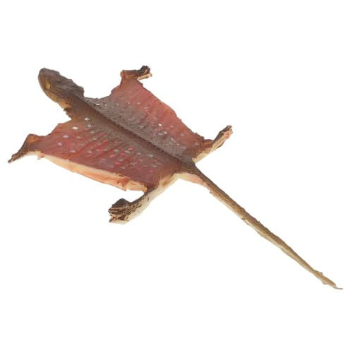 FRCOLOR Künstliches Reptilien Ornament Dekor Kleine Reptilienfiguren Realistischer Gecko Gefälschte Gecko Figuren Garten Reptilienmodell Reptilien Actionfigur Tierfiguren FRCOLOR Künstliches Reptilien Ornament Dekor Kleine Reptilienfiguren Realistischer Gecko Gefälschte Gecko Figuren Garten Reptilienmodell Reptilien Actionfigur Tierfiguren von FRCOLOR