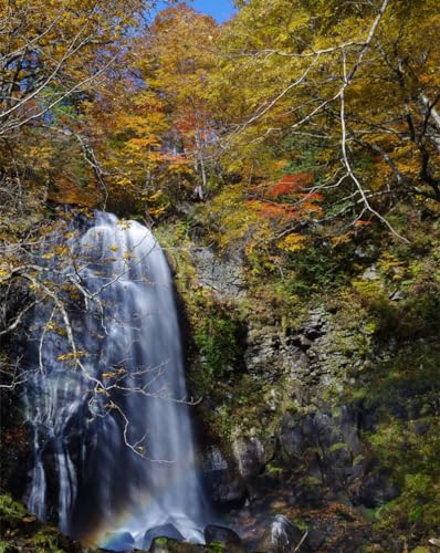 1000 Stück Puzzles für Kinder im Alter von 12 Jahren,-Wasserfall,Klippe,Bäume 70x50cm von FRUKAT