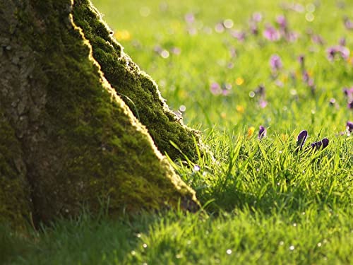 1000 Teile Erwachsenenpuzzle ab 14 Jahren, Gras Blumen Holz 75x50cm 1000 Teile Erwachsenenpuzzle ab 14 Jahren, Gras Blumen Holz 75x50cm von FRUKAT