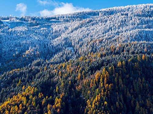 1000 Teile Puzzle,Geschicklichkeitsspiel für Die Ganze Familie - Wälder Hang Luftaufnahme 75x50cm 1000 Teile Puzzle,Geschicklichkeitsspiel für Die Ganze Familie - Wälder Hang Luftaufnahme 75x50cm von FRUKAT