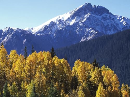 1000 Teile Puzzle,Geschicklichkeitsspiel für die ganze Familie-Berge, Bäume, Herbst, Gelb 75x50cm von FRUKAT