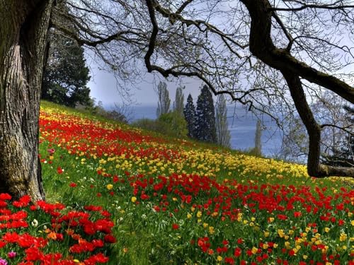 1000 Teile Puzzle,Geschicklichkeitsspiel für die ganze Familie-Blumen, Gras, Bäume 75x50cm von FRUKAT