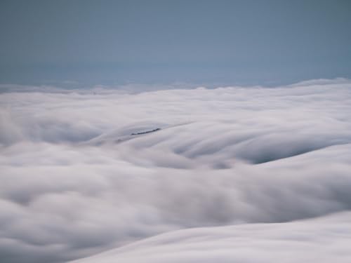 1000 Teile Puzzle,Impossible Puzzle,Puzzle-Geschenk,-Bäume, Nebel, Wolken, 75x50cm von FRUKAT