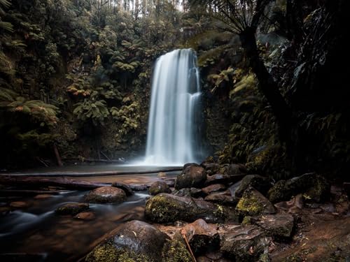 1000 Teile Puzzle,Impossible Puzzle für Kleinkinder Jungen Mädchen 14 Jahre alt-Wasserfall, Klippe, Pflanzen, Steine 75x50cm von FRUKAT