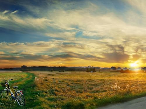 1000 Teile Puzzle,Lernen Pädagogische Puzzle Spielzeug -Fahrrad, Feld, Wolken 75x50cm von FRUKAT