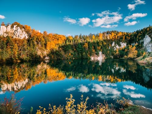 1000 Teile Puzzle,Lernen Pädagogische Puzzle Spielzeug -Herbst, See, Bäume 75x50cm von FRUKAT