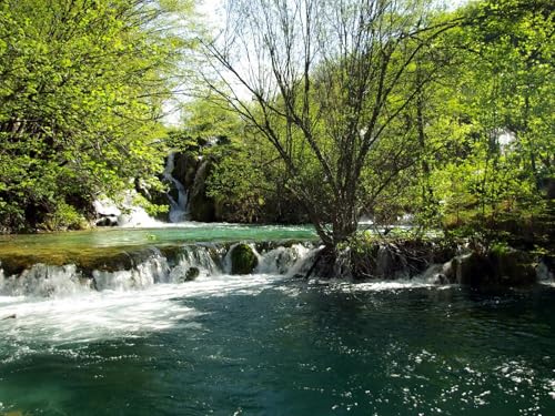 1000 Teile Puzzle,Lernen Pädagogische Puzzle Spielzeug -Kroatien, Fluss, Wasserfälle 75x50cm von FRUKAT