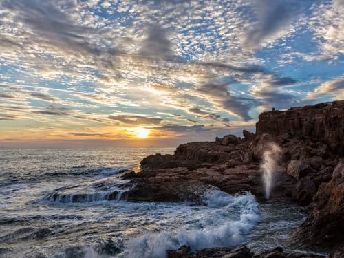 1000 Teile Puzzle,Lernen Pädagogische Puzzle Spielzeug -Küste, Felsen, Meer 75x50cm von FRUKAT