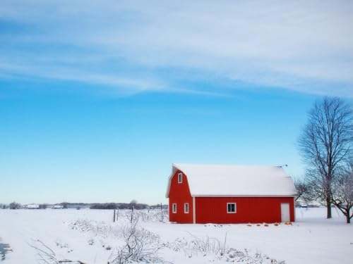 1000 Teile Puzzle,Lernen Pädagogische Puzzle Spielzeug -Scheune, Winter, Himmel 75x50cm von FRUKAT