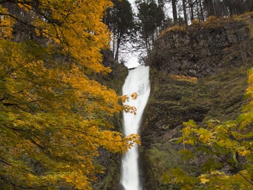 1000 Teile Puzzle,Lernen Pädagogische Puzzle Spielzeug -Wasserfall, Herbst 75x50cm von FRUKAT