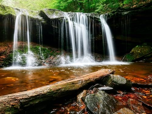 1000 Teile Puzzle,Lernen Pädagogische Puzzle Spielzeug -Wasserfall, Wasser, Felsen, Landschaft, Log 75x50cm von FRUKAT