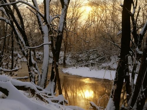 1000 Teile Puzzle ab 14 Jahren,buntes Erwachsenenpuzzle -Fluss, Holz, Winter, Sonne, Reflexion 75x50cm von FRUKAT