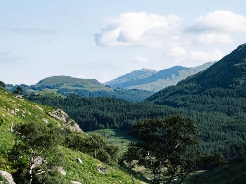 1000 Teile Puzzle für Erwachsene und Kinder ab 14 Jahren-Berge, Bäume, Natur, 75x50cm von FRUKAT