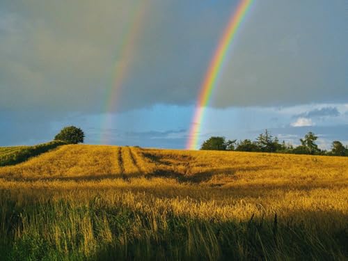 1000 Teile Puzzle für Erwachsene und Kinder ab 14 Jahren-Feld, Regenbogen, Landschaft 75x50cm von FRUKAT