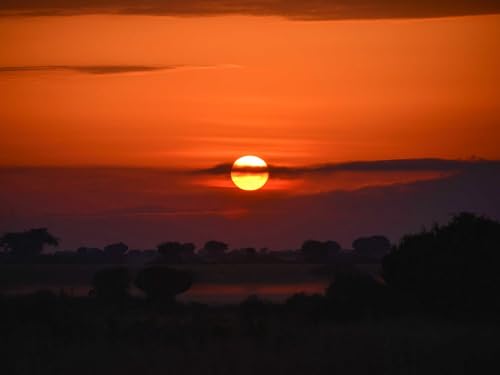 1000 Teile Puzzle für Erwachsene und Kinder ab 14 Jahren Puzzle für Wohnkultur-Sonnenuntergang, Bäume, Büsche, Dämmerung, Abend 75x50cm von FRUKAT