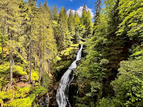 1000 Teile Puzzle für Erwachsene und Kinder ab 14 Jahren Puzzle für Wohnkultur-Wasserfall, Bäume, Wälder 75x50cm von FRUKAT