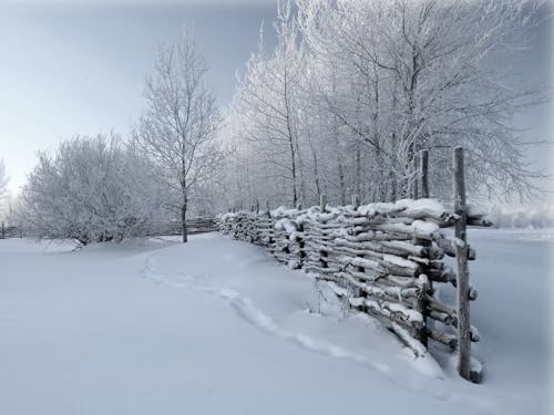 1000 Teile Puzzle für Erwachsene und Kinder ab 14 Jahren Puzzle für Wohnkultur-Zaun, Schnee, Winter 75x50cm von FRUKAT