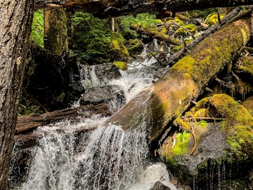 1000 Teile Puzzle für Erwachsene und Kinder ab 14 Jahren-Steine, Wasser, Bach, Natur 75x50cm von FRUKAT