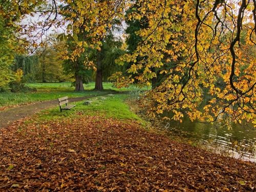 1000 Teile erwachsenenpuzzle ab 14 Jahren, Herbst, Teich 75x50cm von FRUKAT