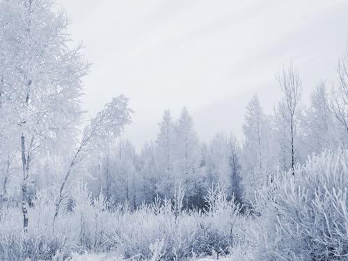 1500 Teile Puzzle,Geschicklichkeitsspiel für die ganze Familie, Holz, Raureif, Graue Haare, Winter, Frost 87x57cm von FRUKAT