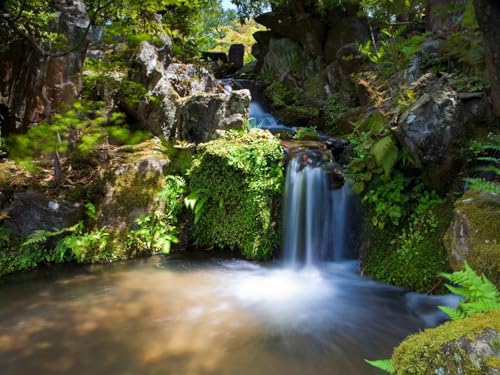 1500 Teile Puzzle,Geschicklichkeitsspiel für die ganze Familie,-Wasserfälle, Felsen, Vegetation 87x57cm von FRUKAT