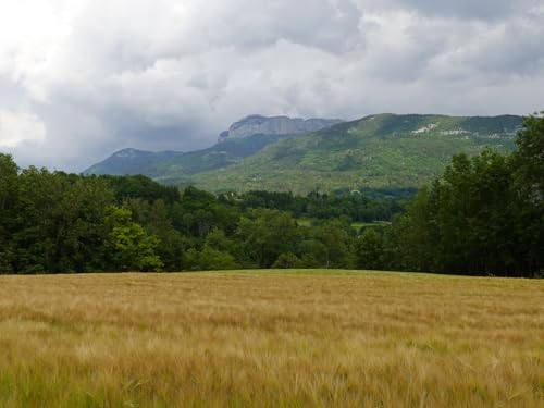 1500 Teile Puzzle,Lernen Pädagogische Puzzle Spielzeug -Feld, Berg, Bäume 87x57cm von FRUKAT