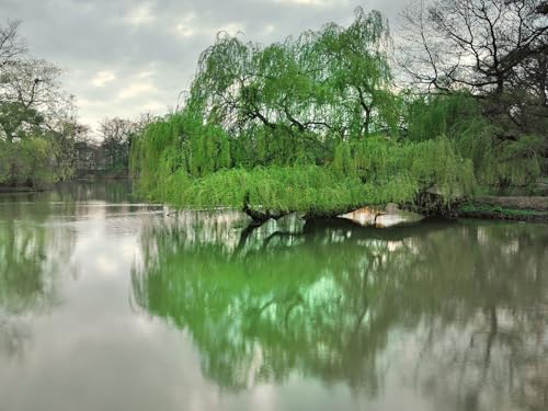 1500 Teile Puzzle,Lernen Pädagogische Puzzle Spielzeug -Park, See 87x57cm von FRUKAT