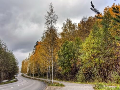 1500 Teile Puzzle,Puzzle für Erwachsene,Puzzle Farbenfrohes-Finnland, Straße, Holz 87x57cm von FRUKAT