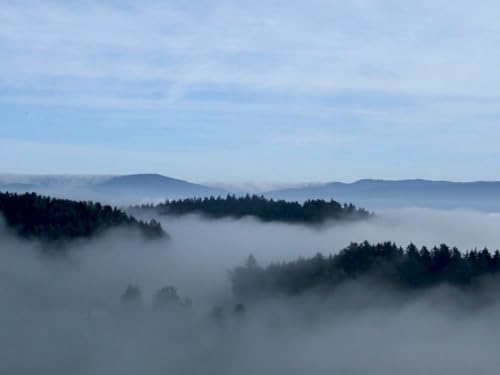 1500 Teile Puzzle,Puzzle für Erwachsene,farbenfrohes Legespiel-Nebel, Bäume, Himmel 87x57cm von FRUKAT