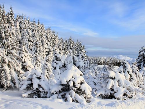 1500 Teile Puzzle farbenfrohes Puzzle für Erwachsene und Kinder -Schnee, Fichten, Bäume, Winter 87x57cm von FRUKAT