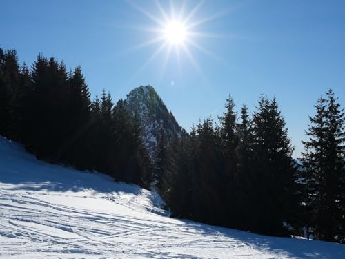 1500 Teile Puzzle für Erwachsene und Kinder ab 14 Jahren-Berge, Bäume, Schnee, Strahlen, Sonne, Natur, Winter 87x57cm von FRUKAT