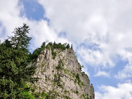 1500 Teile Puzzle für Erwachsene und Kinder ab 14 Jahren-Felsen, Wälder, Bäume 87x57cm von FRUKAT