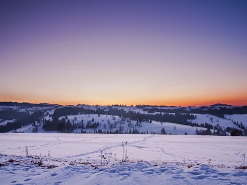 1500 Teile erwachsenenpuzzle ab 14 Jahren, Feld, Schnee, Winter 87x57cm von FRUKAT