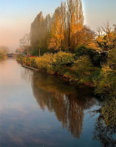 500 Teile,Impossible Puzzle,Geschicklichkeitsspiel für die ganze Familie - Landschaft, Fluss, Bäume 52x38cm von FRUKAT