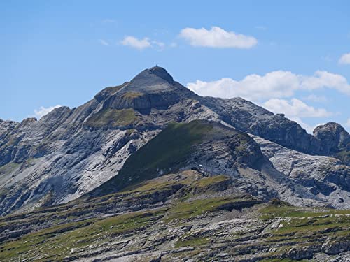 500 Teile Erwachsenenpuzzle ab 14 Jahren, Bergreliefhang 52x38cm 500 Teile Erwachsenenpuzzle ab 14 Jahren, Bergreliefhang 52x38cm von FRUKAT