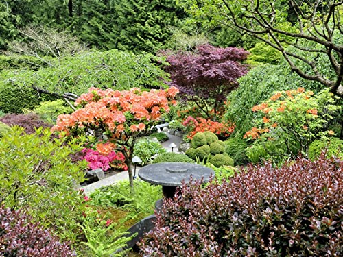 500 Teile Erwachsenenpuzzle ab 14 Jahren, Gartenbäume von Oben 52x38cm 500 Teile Erwachsenenpuzzle ab 14 Jahren, Gartenbäume von Oben 52x38cm von FRUKAT