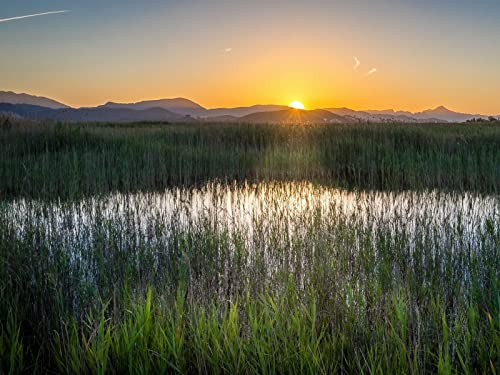 500 Teile Erwachsenenpuzzle ab 14 Jahren, Grasfeldberge 52x38cm 500 Teile Erwachsenenpuzzle ab 14 Jahren, Grasfeldberge 52x38cm von FRUKAT