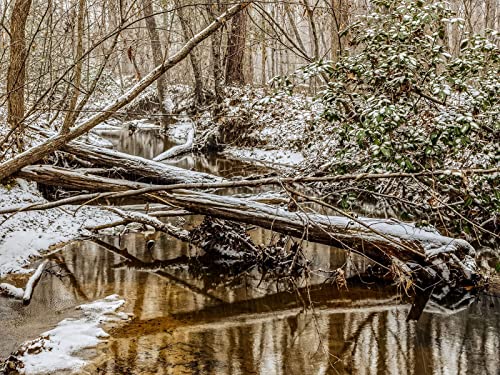 500 Teile Impossible Puzzle,Geschicklichkeitsspiel für Die Ganze Familie - Wälder Bäume Fluss 52x38cm 500 Teile Impossible Puzzle,Geschicklichkeitsspiel für Die Ganze Familie - Wälder Bäume Fluss 52x38cm von FRUKAT